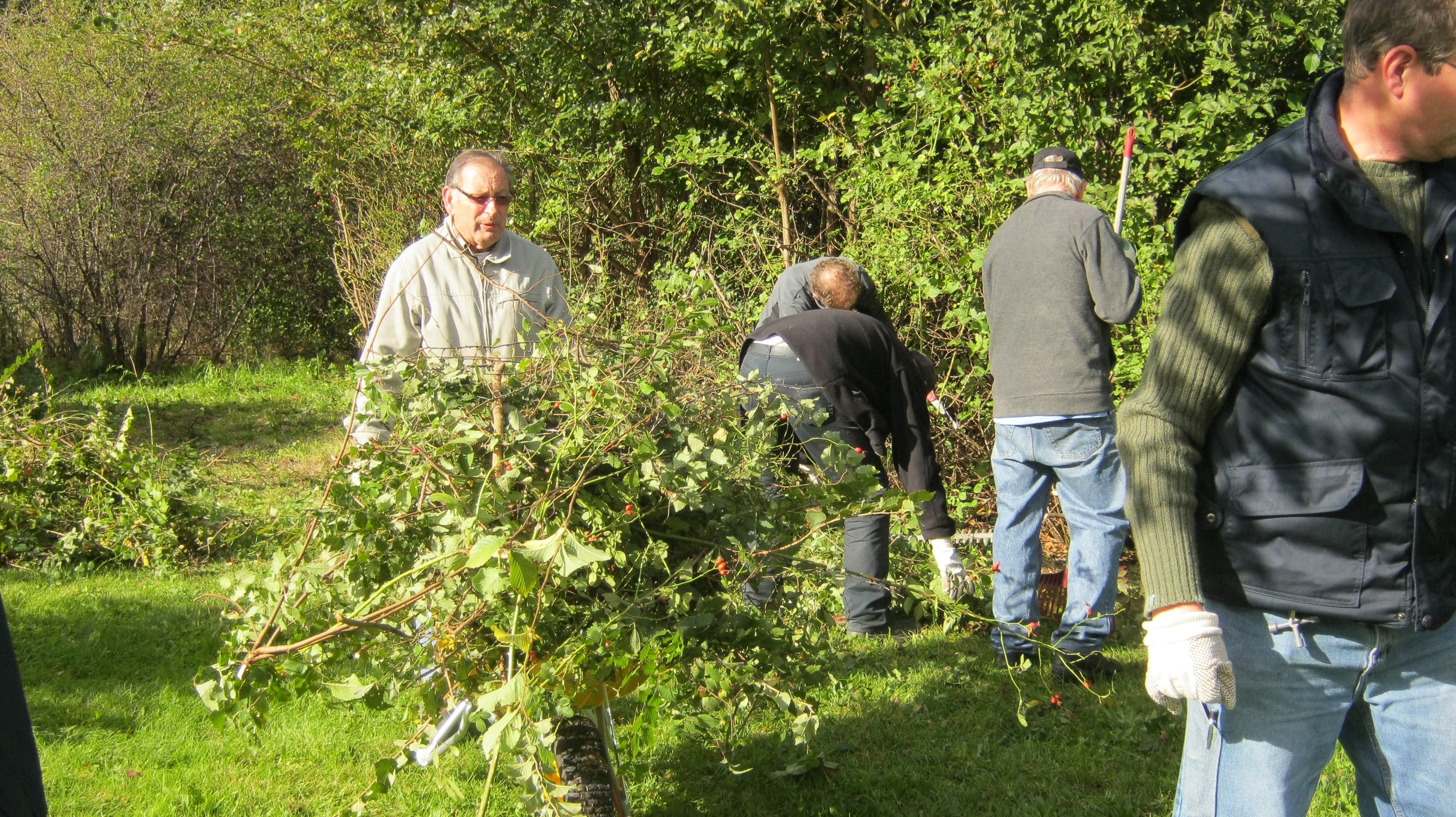 vlindertuin in onderhoud