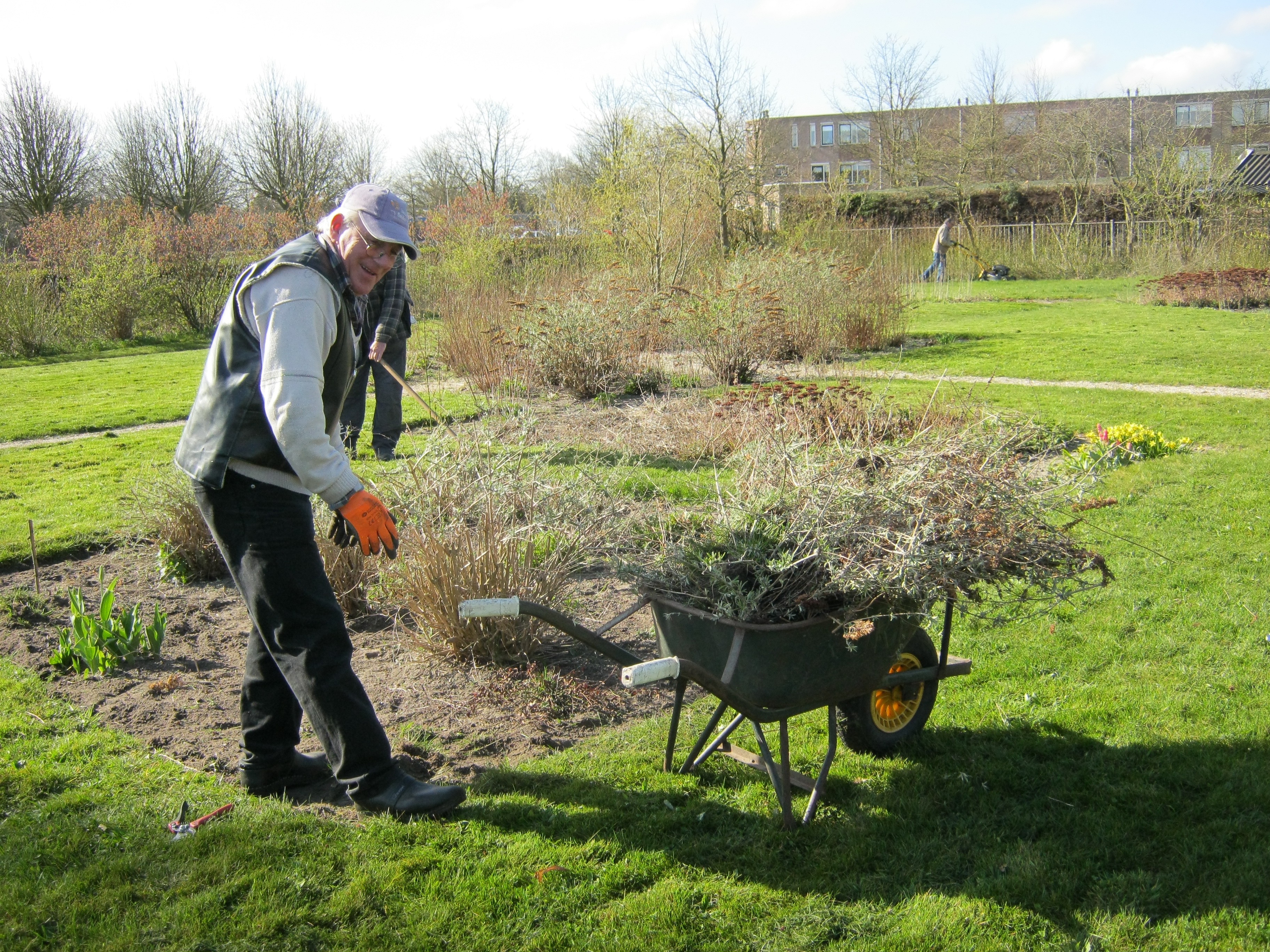 vlindertuin ook onderhoud